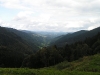 Vosges Mountains, Département du Haut-Rhin